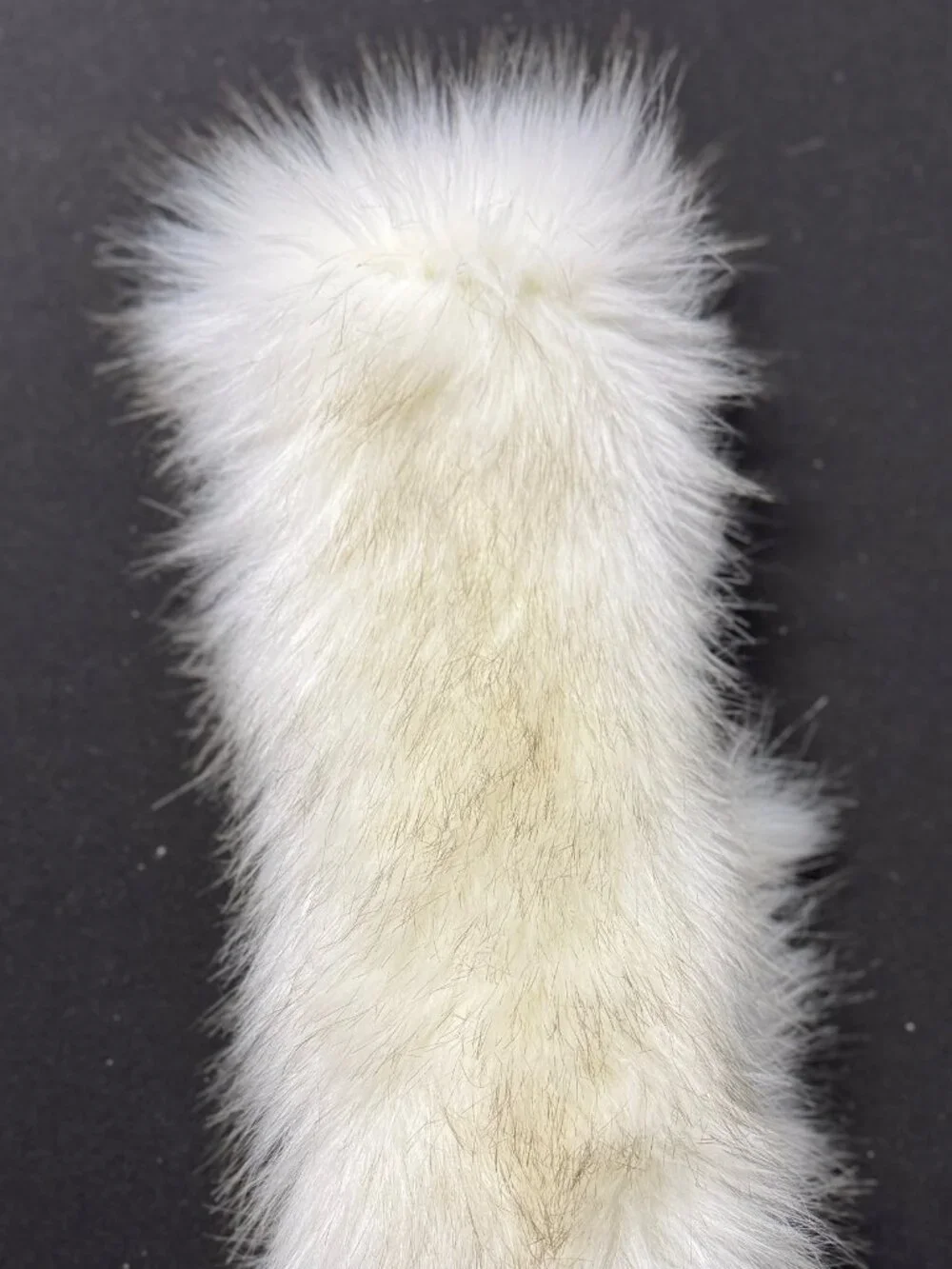 N/A beautiful white